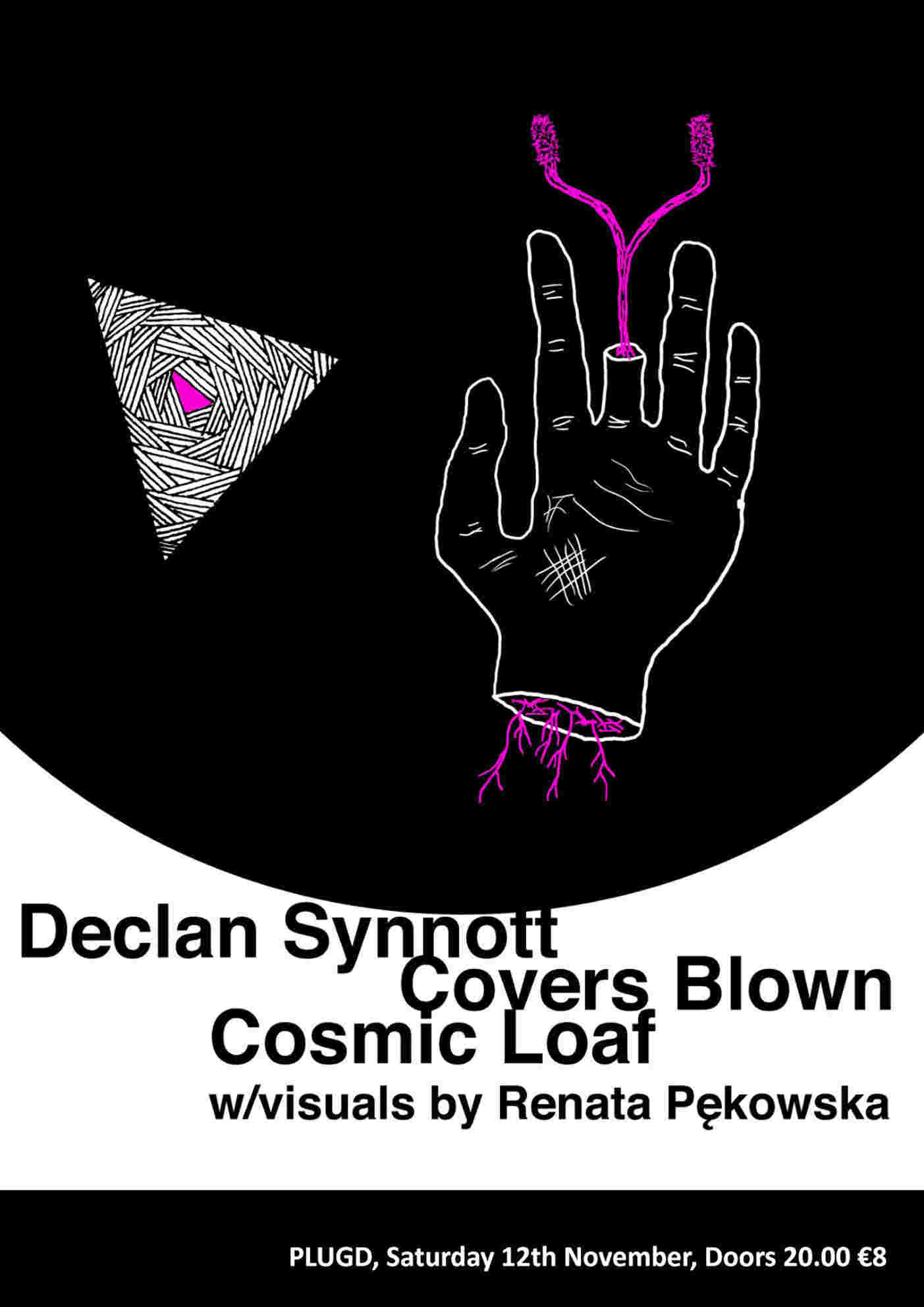 DS Cork launch gig