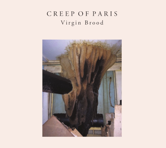 Virgin Brood