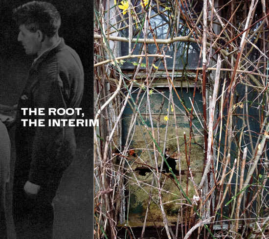 The Root, The Interim